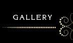 Art Jewellery Gallery